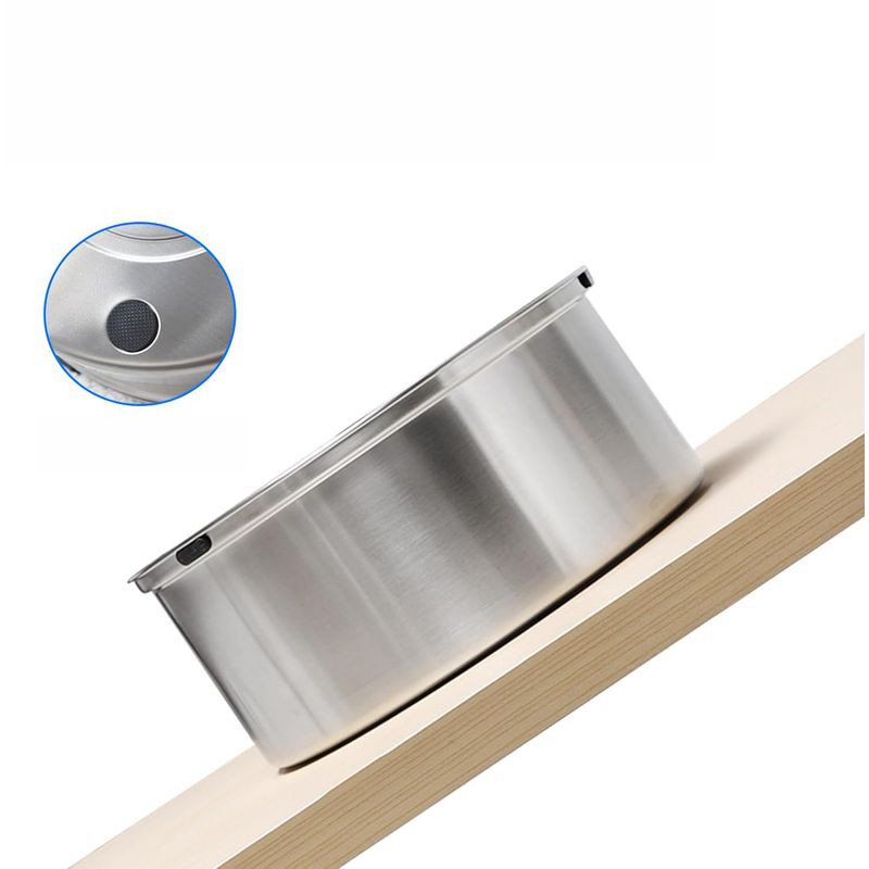 Qinhul Fontaine à eau pour chien en acier inoxydable