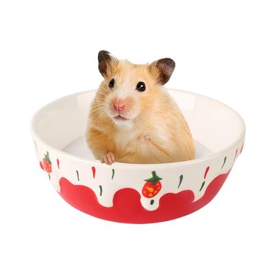 FurryFusion Bol en céramique pour petits animaux