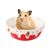 FurryFusion Bol en céramique pour petits animaux