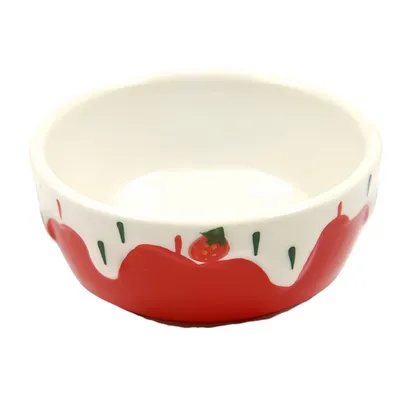 FurryFusion Bol en céramique pour petits animaux FurryFusion Bol en céramique pour petits animaux