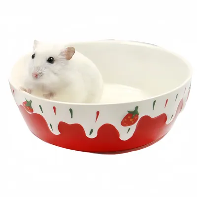 FurryFusion Bol en céramique pour petits animaux FurryFusion Bol en céramique pour petits animaux