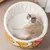 FurryFusion Lit pour chat aux nouilles instantanées