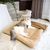 FurryFusion Tapis pour animaux chaud en hiver