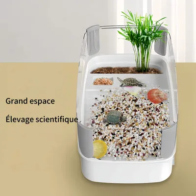 FurryFusion Petit aquarium