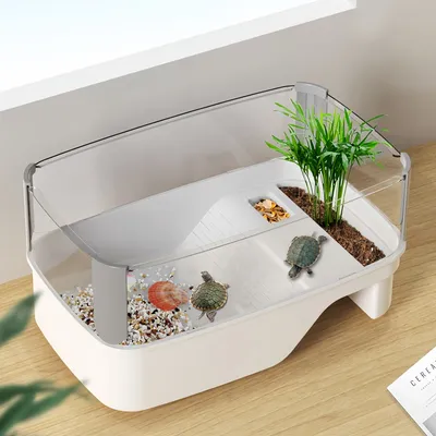 FurryFusion Petit aquarium