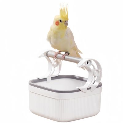 FurryFusion Support à oiseaux de bureau