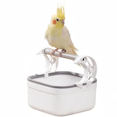 FurryFusion Support à oiseaux de bureau FurryFusion Support à oiseaux de bureau