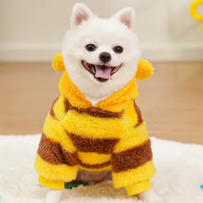 FurryFusion Kapuzenpullover „Bee“ für Hunde