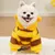 FurryFusion Kapuzenpullover „Bee“ für Hunde
