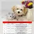 Best For Pets Dog Bed Kiss 7 Ortho-Medic Best For Pets Dog Bed Kiss 7 Ortho-Medic