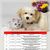 Best For Pets Dog Bed Kiss 7 Ortho-Medic