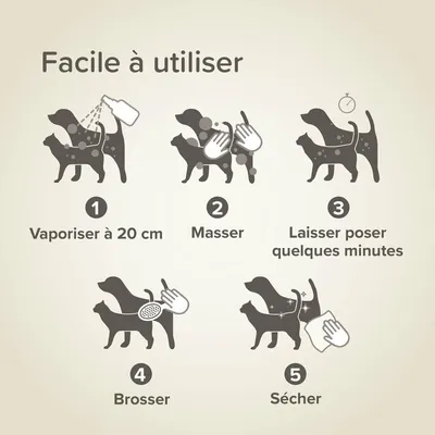 BEAPHAR   Shampoing Sec Chat et chien Sans Rinçage