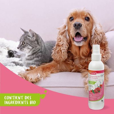 BEAPHAR   Shampoing Sec Chat et chien Sans Rinçage