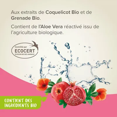 BEAPHAR   Shampoing Sec Chat et chien Sans Rinçage