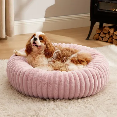 FurryFusion Lit pour chat en forme de beignet