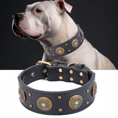 FurryFusion Collier en cuir pour chien