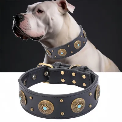 FurryFusion Collier en cuir pour chien FurryFusion Collier en cuir pour chien
