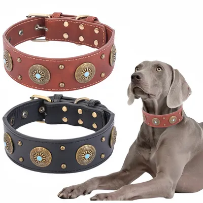 FurryFusion Collier en cuir pour chien
