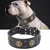 FurryFusion Collier en cuir pour chien FurryFusion Collier en cuir pour chien
