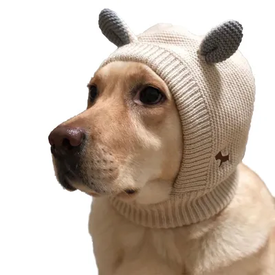 FurryFusion Bonnet tricoté pour chien