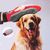 UAMLY Épilation et massage pour chiens