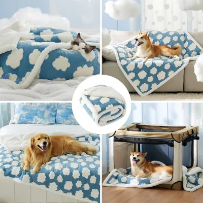 FurryFusion Couvertures pour animaux de compagnie