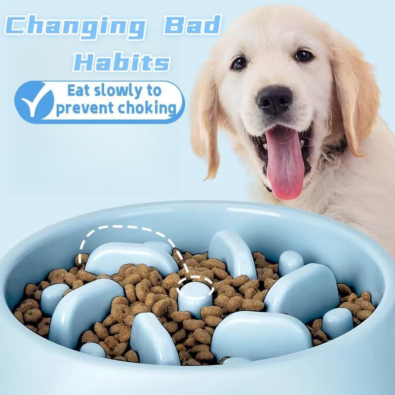 UAMLY Gamelle anti-glouton pour chien