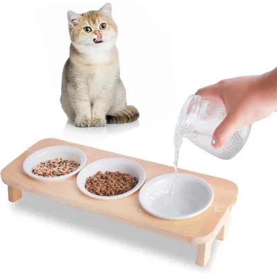 UAMLY Gamelles surélevées en céramique pour chat avec support