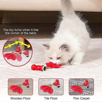 UAMLY Jouet pour chat entièrement automatique et intelligent