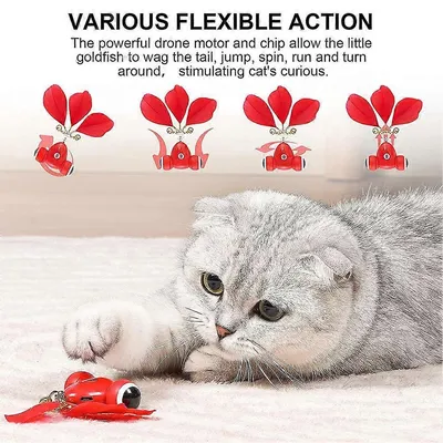 UAMLY Jouet pour chat entièrement automatique et intelligent