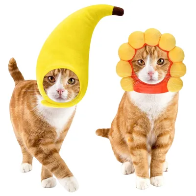 FurryFusion Chapeau de chat mignon