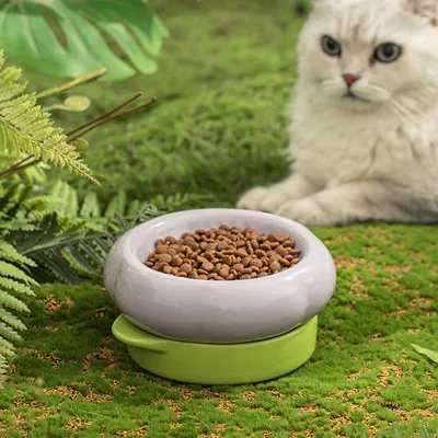 UAMLY Lot de 2 gamelles en céramique pour chat