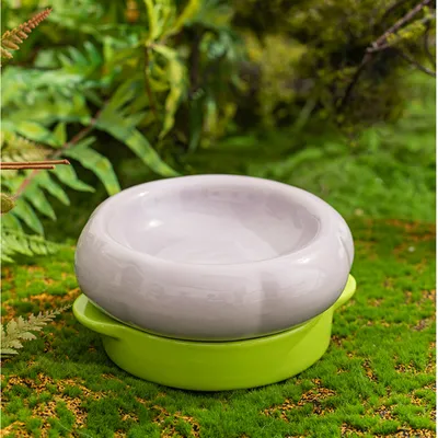 UAMLY Lot de 2 gamelles en céramique pour chat