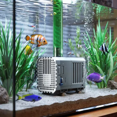 SunSun CHJ-500 Eco Pompe à eau 500l/h 7W Pompe Mini et Moyen Aquarium Débit
