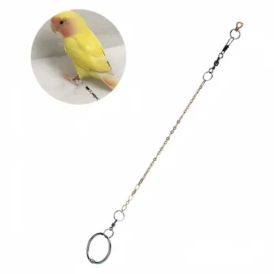 Pawzy Chaîne de support pour pattes d'oiseau Pawzy Chaîne de support pour pattes d'oiseau