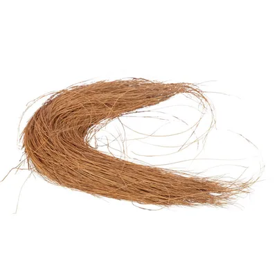 Fibres de coco peignées Matériaux pour nids 30g canaris, Pinsons zébrés