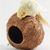 Pawzy Nid pour perroquet en noix de coco