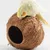 Pawzy Nid pour perroquet en noix de coco