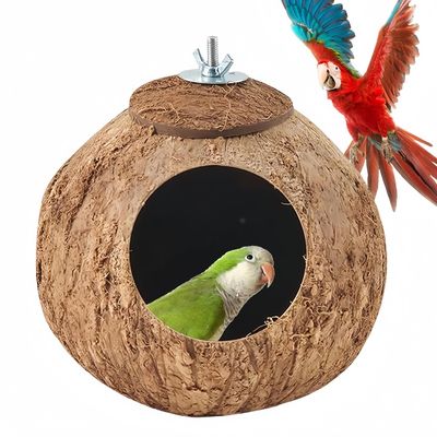 Pawzy Nid pour perroquet en noix de coco