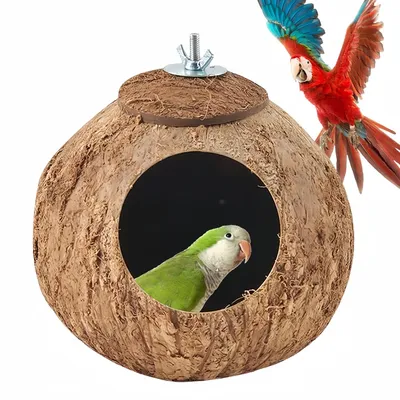 Pawzy Nid pour perroquet en noix de coco