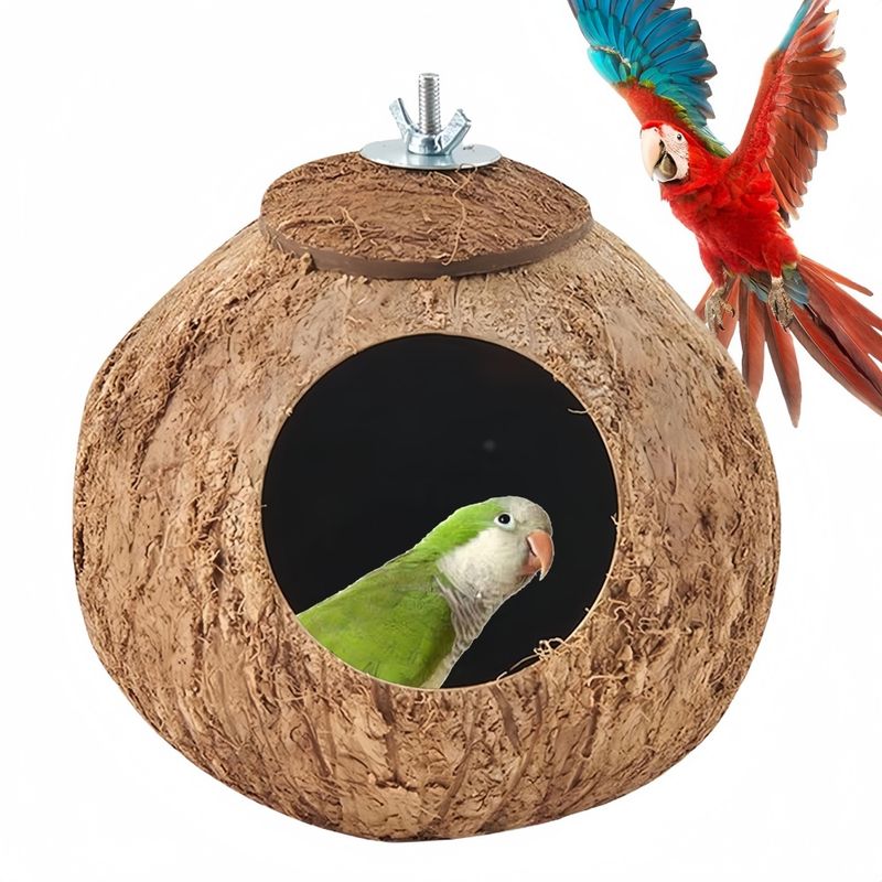 Pawzy Nid pour perroquet en noix de coco