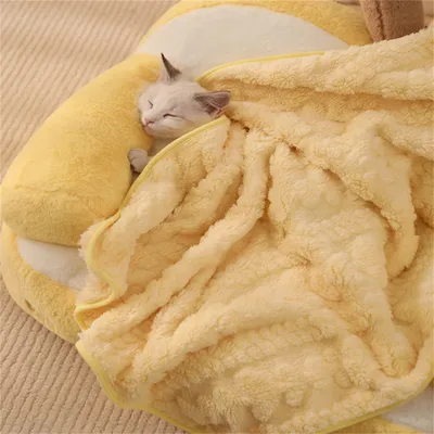 Pawzy Couverture pour chien et chat