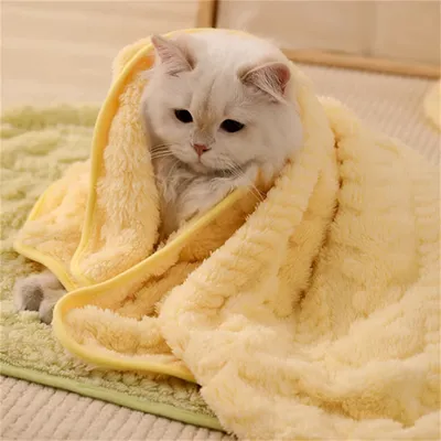 Pawzy Couverture pour chien et chat