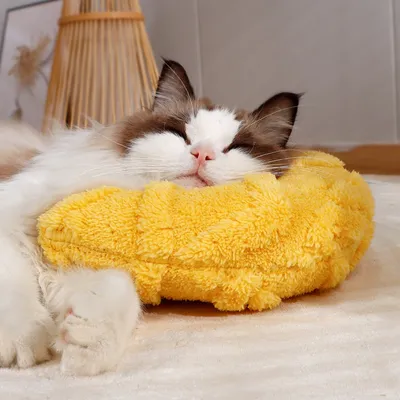 Zoomtopia Almohada de repos pour chien et chat