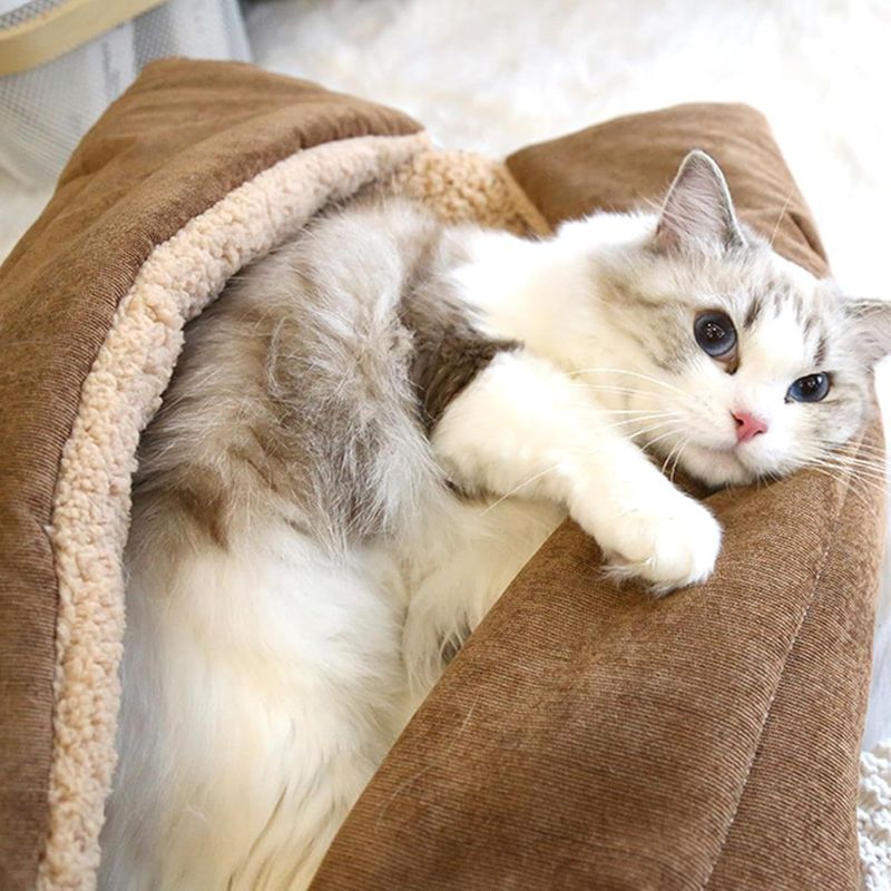 Pawzy Niche pliable pour chaton - coussin respirant et chaud