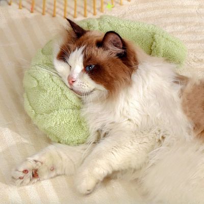 Zoomtopia Oreiller Apaisant en Forme De U pour Chien Et Chat