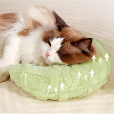 Zoomtopia Oreiller Apaisant en Forme De U pour Chien Et Chat