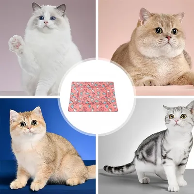 Pawzy Tapis en coton épais pour animaux de compagnie