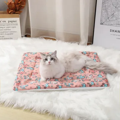 Pawzy Tapis en coton épais pour animaux de compagnie