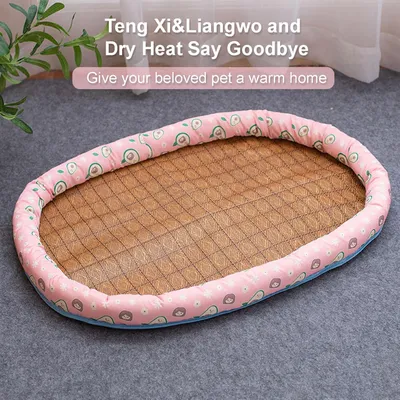 Pawzy Panier en osier pour chat - Natte rafraîchissante été (70x50cm)